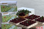 事业运势高速赋能产业升级：一条“杨梅路”的致富密码